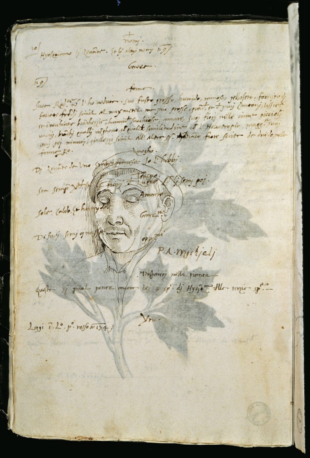 Libro Verde, f.10v: Portrait of Pietro Antonio Michiel