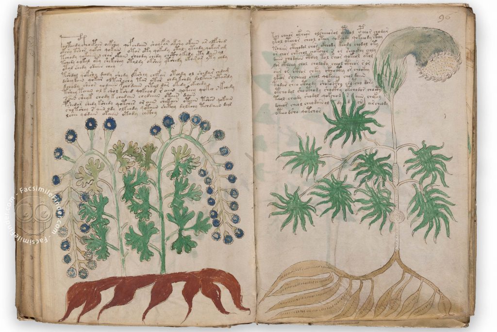Voynich manuscript facsimile: Additional unidentified plant species