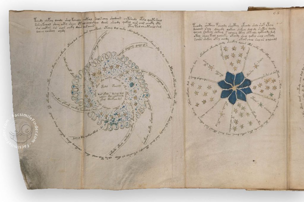 Voynich manuscript facsimile: Triple-page fold-out