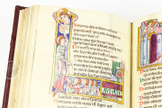 St. Alban’s Psalter, MS St. God. 1 - Dombibliothek Hildesheim, Basilika St. Godehard (Germany) / Inv. No. M694 - Schnütgen Museum Köln (Cologne, Germany) − photo 6