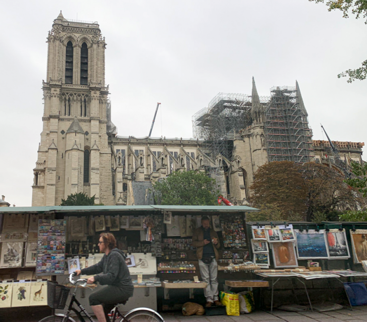 The cathedral of Notre-Dame