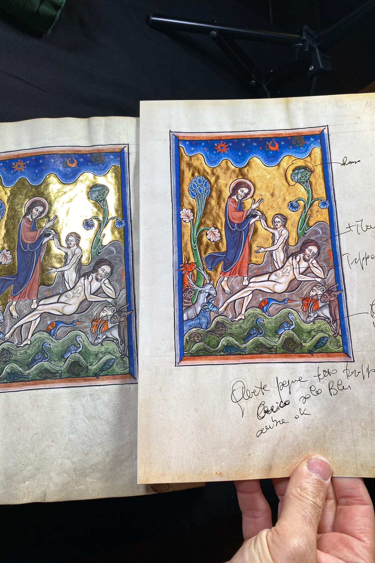 Colorproofing the  Psalter of Blanche of Castile
