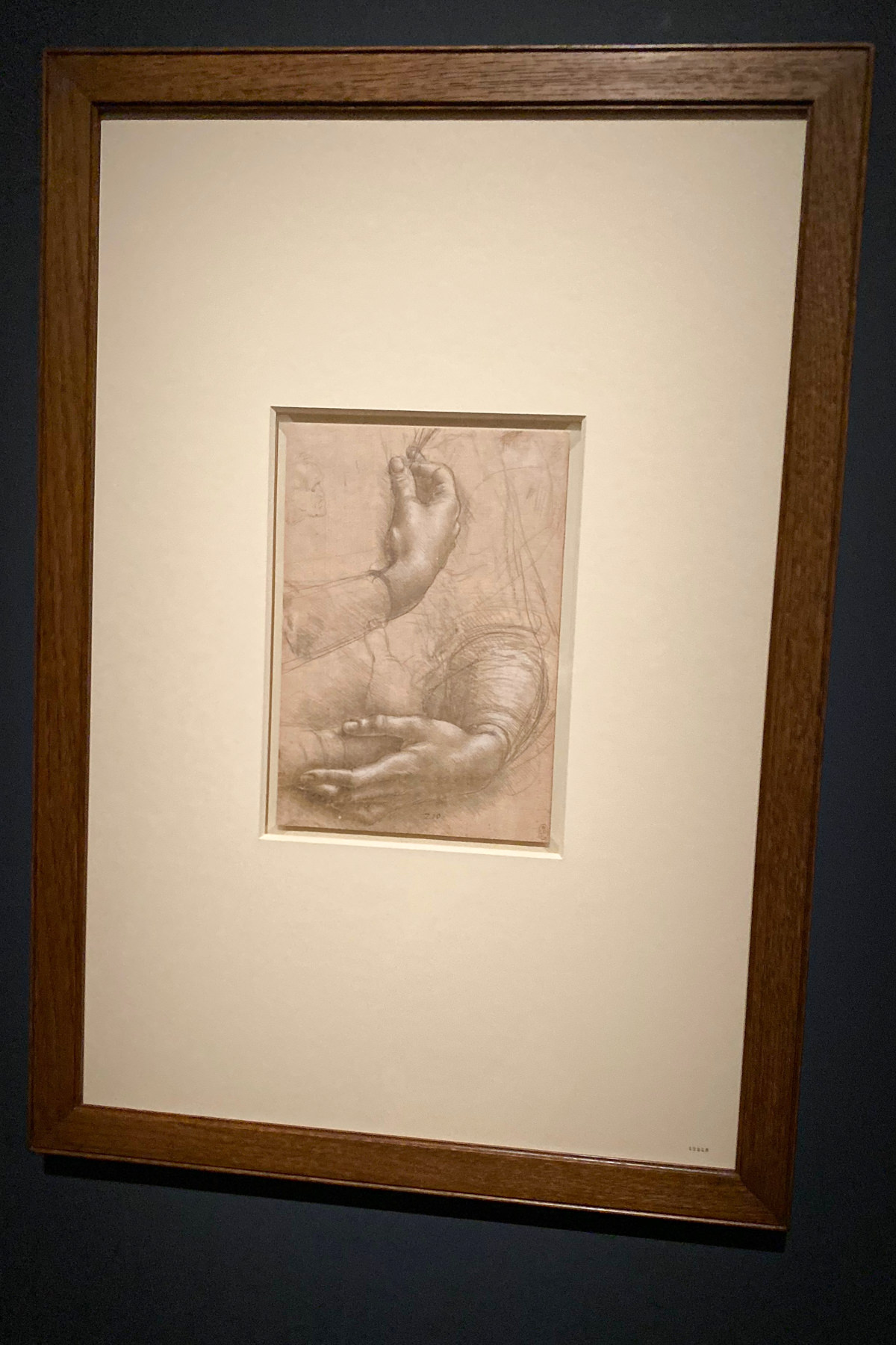 Leonardo da Vinci Exhibition in the Louvre Museum: Study of Hands