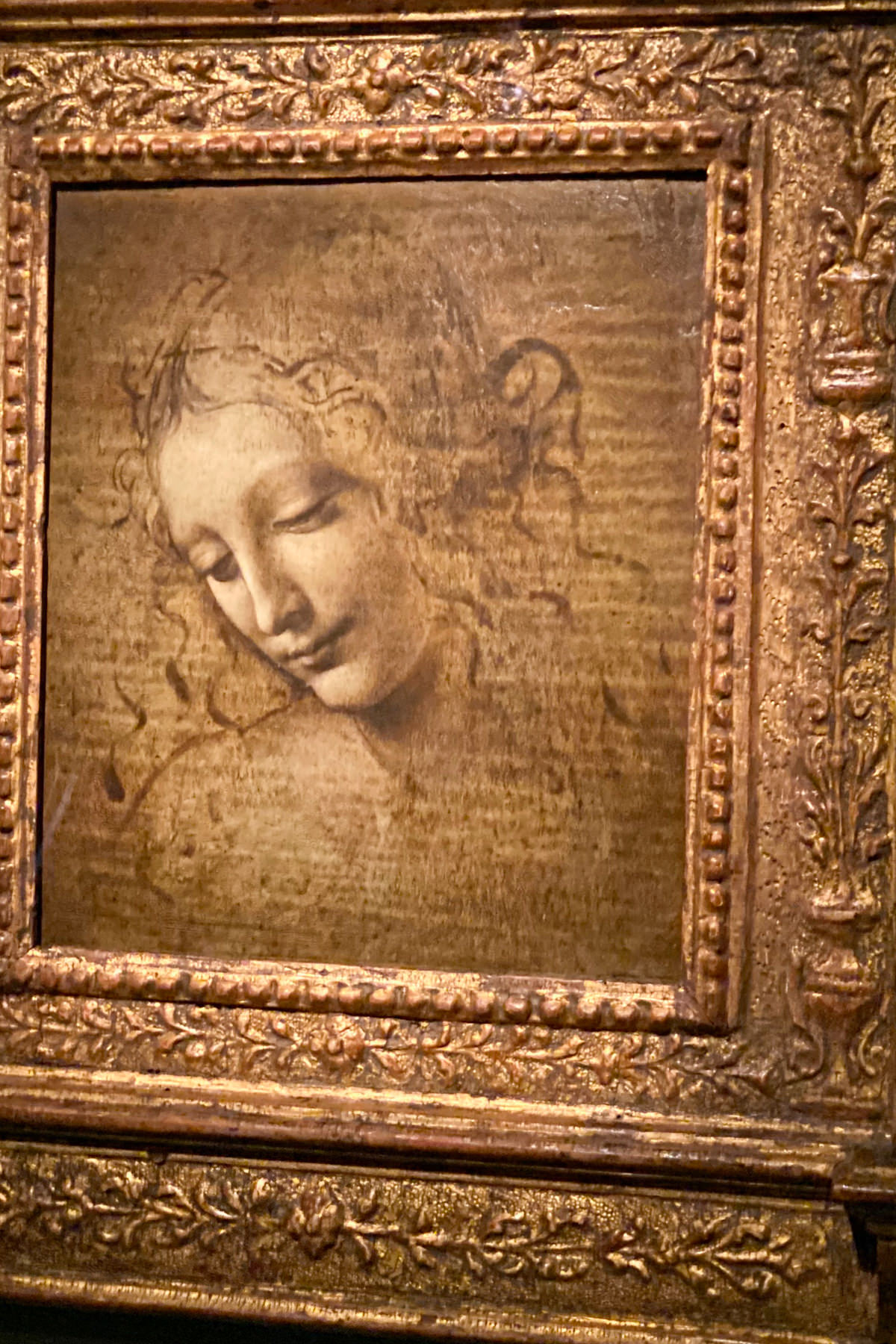 Leonardo da Vinci Exhibition in the Louvre Museum: Female Head