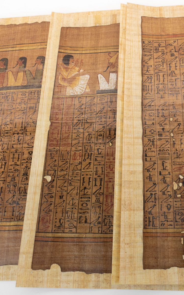Detail of the Papyrus Ani facsimile