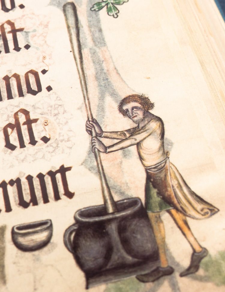 Detail of the Luttrell Psalter