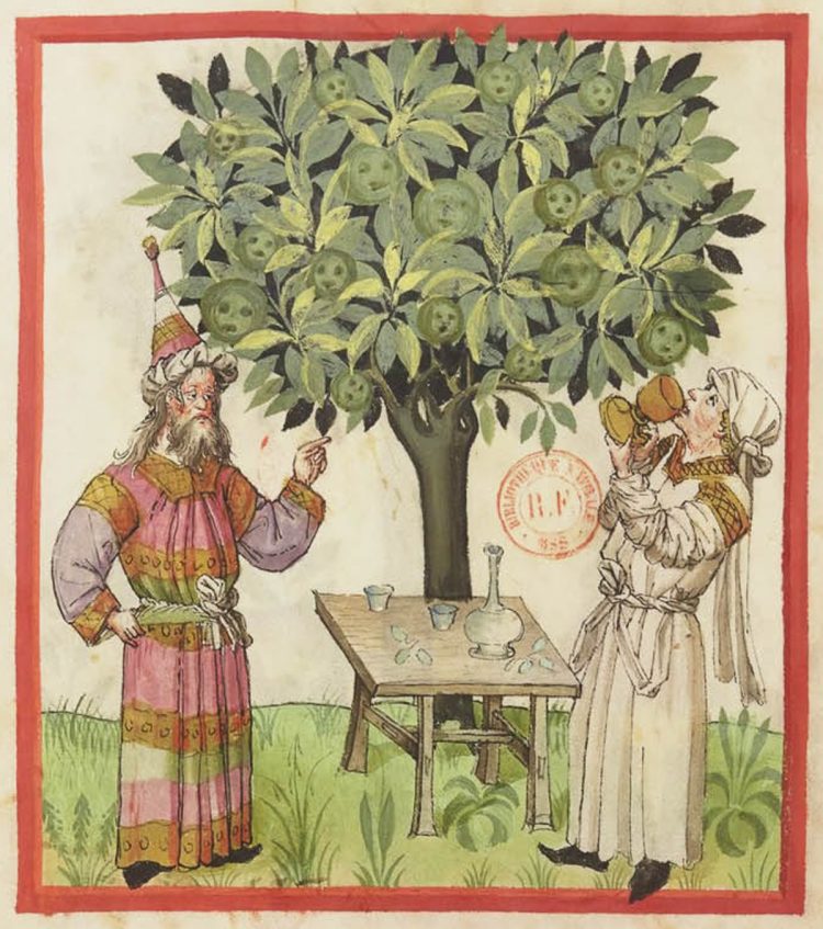 Древние ботаники. Tacuinum Sanitatis. Средневековый трактат Tacuinum Sanitatis. Tacuinum Sanitatis книга. Средневековые травы.