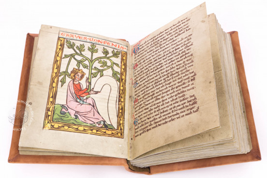 Weingarten Manuscript, Stuttgart, Württembergische Landesbibliothek, HB XIII 1 − Photo 1