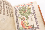 Weingarten Manuscript, Stuttgart, Württembergische Landesbibliothek, HB XIII 1 − Photo 8
