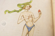 Bellifortis, Göttingen, Niedersächsische Staats- und Universitätsbibliothek Göttingen, Cod. Ms. philos. 63 − Photo 3