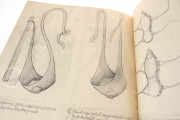 Bellifortis, Göttingen, Niedersächsische Staats- und Universitätsbibliothek Göttingen, Cod. Ms. philos. 63 − Photo 12