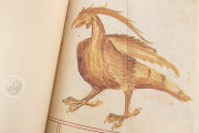 Bellifortis, Göttingen, Niedersächsische Staats- und Universitätsbibliothek Göttingen, Cod. Ms. philos. 63 − Photo 15