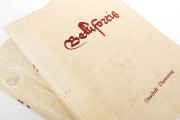 Bellifortis, Göttingen, Niedersächsische Staats- und Universitätsbibliothek Göttingen, Cod. Ms. philos. 63 − Photo 31