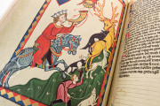 Codex Manesse, Heidelberg, Universitätsbibliothek Heidelberg, Cod. Pal. germ. 848 − Photo 6