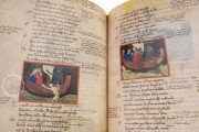 Il Codice Filippino della Commedia di Dante Alighieri, Naples, Biblioteca Oratoriana dei Girolamini, MS. CF 2 16 − Photo 12