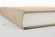 Manoscritto Veronese delle Institutiones di Gaio, Verona, Biblioteca Capitolare di Verona − Photo 7