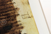 Manoscritto Veronese delle Institutiones di Gaio, Verona, Biblioteca Capitolare di Verona − Photo 10