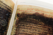 Manoscritto Veronese delle Institutiones di Gaio, Verona, Biblioteca Capitolare di Verona − Photo 13