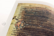 Manoscritto Veronese delle Institutiones di Gaio, Verona, Biblioteca Capitolare di Verona − Photo 14