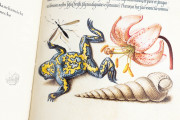 Model Book of Calligraphy, Los Angeles, The Getty Museum, Ms. 20 (86. MV. 527) − Photo 3