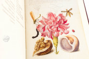 Model Book of Calligraphy, Los Angeles, The Getty Museum, Ms. 20 (86. MV. 527) − Photo 11
