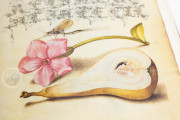 Model Book of Calligraphy, Los Angeles, The Getty Museum, Ms. 20 (86. MV. 527) − Photo 18