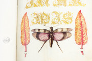 Model Book of Calligraphy, Los Angeles, The Getty Museum, Ms. 20 (86. MV. 527) − Photo 19