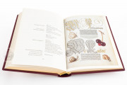 Model Book of Calligraphy, Los Angeles, The Getty Museum, Ms. 20 (86. MV. 527) − Photo 23