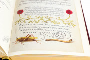 Model Book of Calligraphy, Los Angeles, The Getty Museum, Ms. 20 (86. MV. 527) − Photo 25