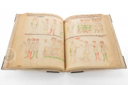 Velislav's Bible, Prague, National Library of the Czech Republic − Photo 6