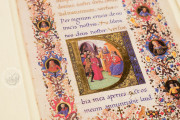 Art of the King (Collection), Multiple Locations − Photo 6