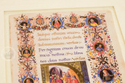 Art of the King (Collection), Multiple Locations − Photo 15
