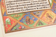 Art of the King (Collection), Multiple Locations − Photo 16