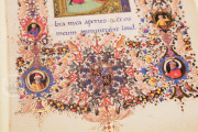 Art of the King (Collection), Multiple Locations − Photo 17