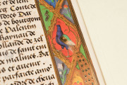 Art of the King (Collection), Multiple Locations − Photo 18