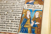 Great Hours of Rouen, Rouen, Bibliothèque Jacques Villon, Ms. Leber 155 − Photo 3