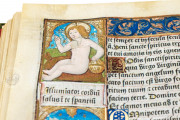 Great Hours of Rouen, Rouen, Bibliothèque Jacques Villon, Ms. Leber 155 − Photo 8