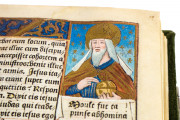 Great Hours of Rouen, Rouen, Bibliothèque Jacques Villon, Ms. Leber 155 − Photo 17