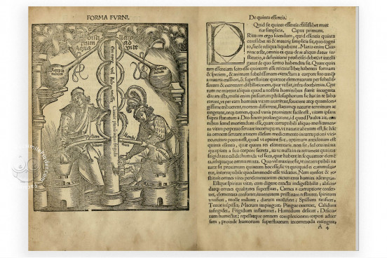 Coelum philosophorum seu de Secretis Naturae, Madrid, Biblioteca General de la Universidad Complutense − Photo 1