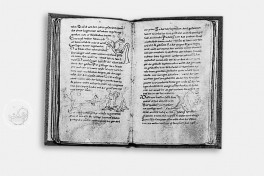 Millstatt Genesis and Physiologus Facsimile Edition