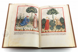 Tacuinum Sanitatis in Medicina Facsimile Edition