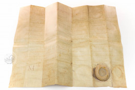 Karlmann Document Facsimile Edition