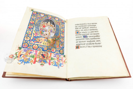 Pontifical of Boniface IX, Vatican City, Biblioteca Apostolica Vaticana, ms. vat. lat. 3747 − Photo 1