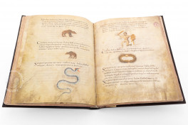 Metz Codex Facsimile Edition