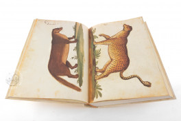 Natural history atlas of Philiph II - Pomar Codex Facsimile Edition