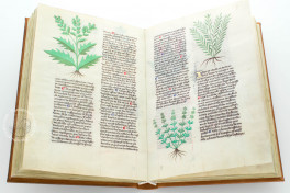 Herbolaire Facsimile Edition