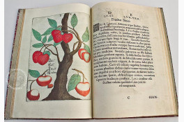 Flora Sinensis Facsimile Edition