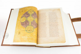Codex Amiatinus Facsimile Edition