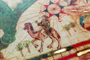 Sea Map of Iehuda Ben Zara, Vatican City, Biblioteca Apostolica Vaticana, Borg. VII − Photo 6