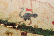 Sea Map of Iehuda Ben Zara, Vatican City, Biblioteca Apostolica Vaticana, Borg. VII − Photo 10